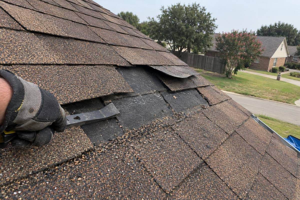 Edge of an asphalt shingle roof with several tabs missing and others creased, a gloved hand holding a flat bar beside the gap
